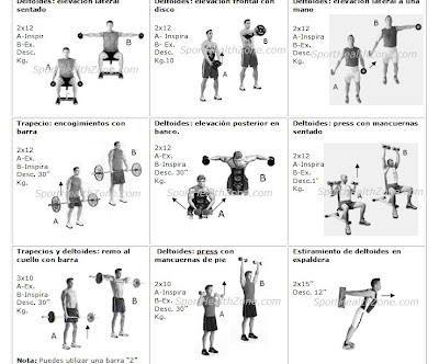 descargar rutina gym pdf